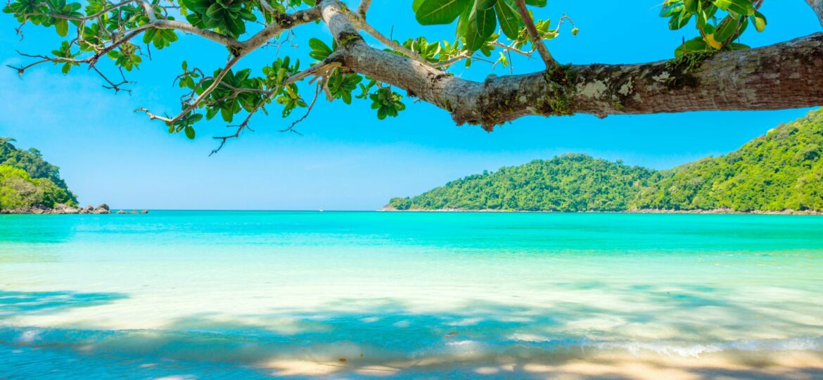 tropical